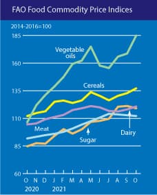 World food prices reach new peak