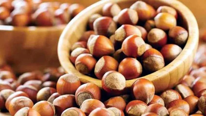 TMO will sell hazelnuts