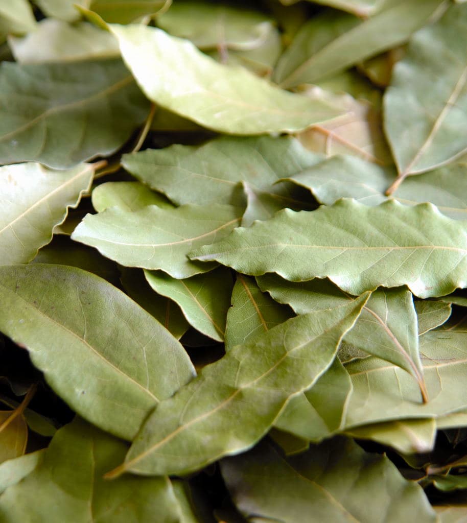 Organic Bay Leaves