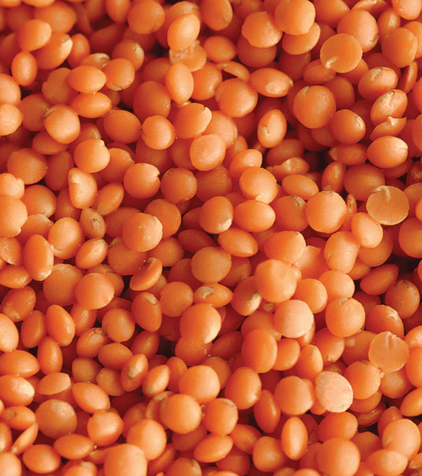 Red Split Lentils