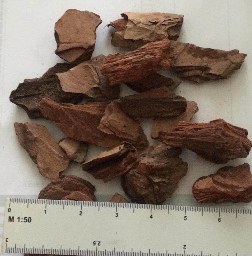 Pine Bark