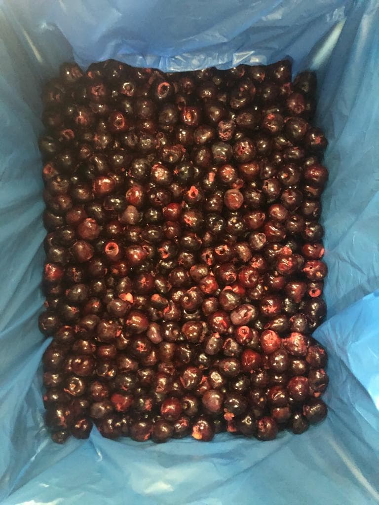 IQF Frozen Sweet Cherry pitted