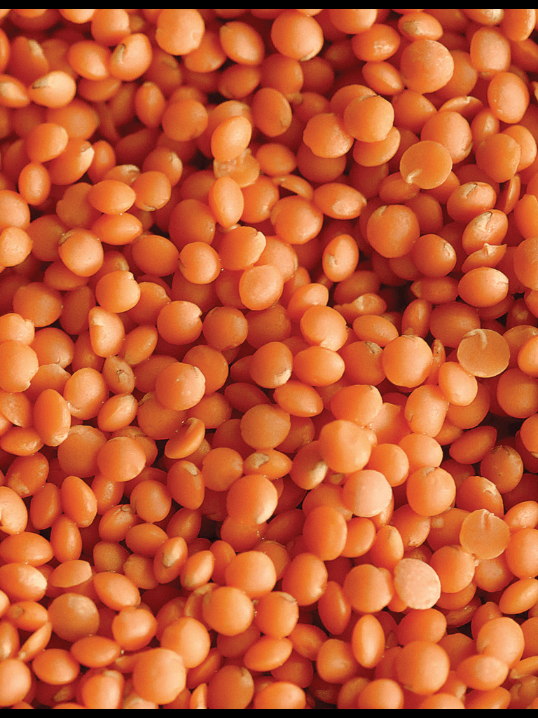 Organic Red Split Lentils