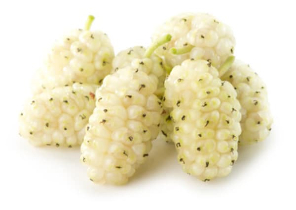 Dried Mulberry white