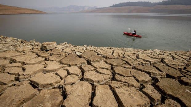 Alarming food shortage report