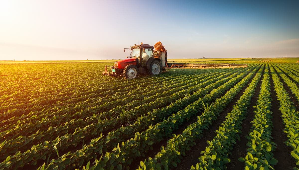 Germany and Iraq are at the foreight in agricultural export