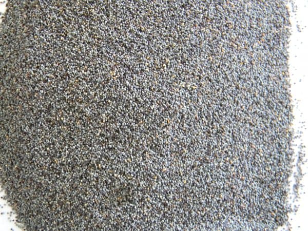 Blue Poppy Seeds
