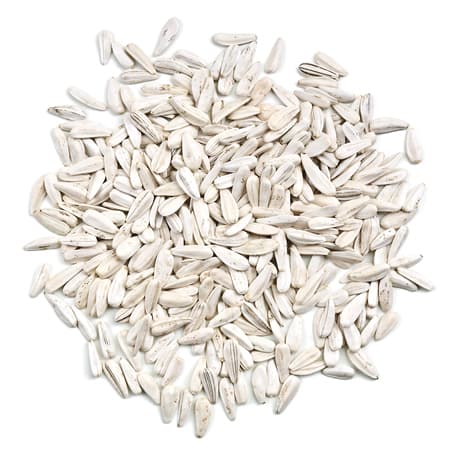 White Sunflower Seeds raw inshell