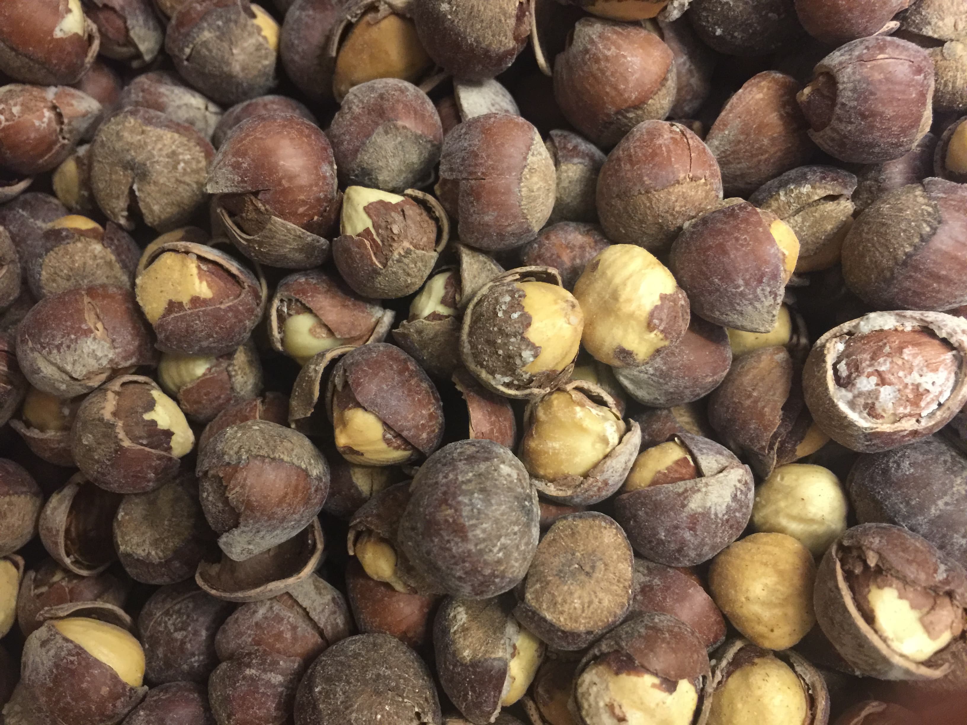 Hazelnut Kernels Inshell Salted Roasted Partially Cracked