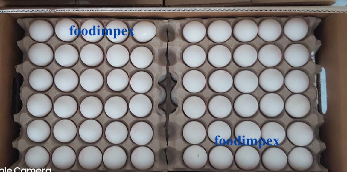 White Egg Chicken Egg