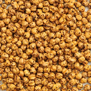 Double Roasted Chickpeas Yellow