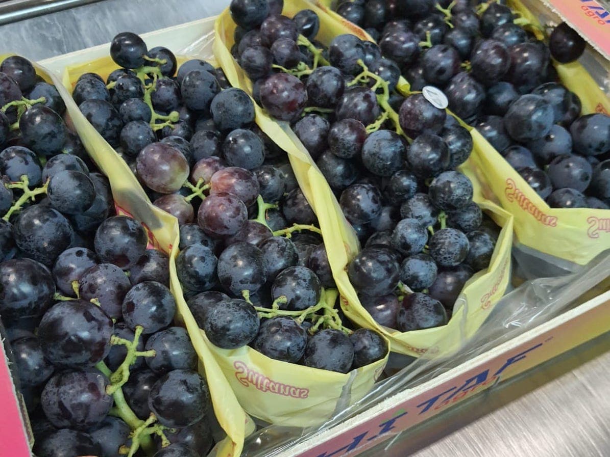 Alfonso Fresh Grape