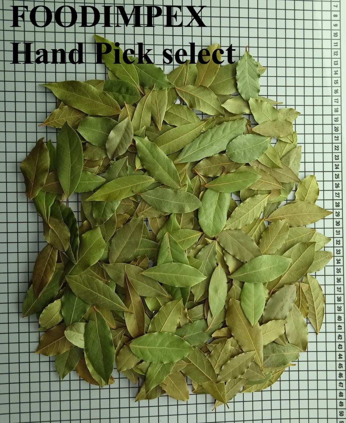Bay Leaves Laurel Leaves