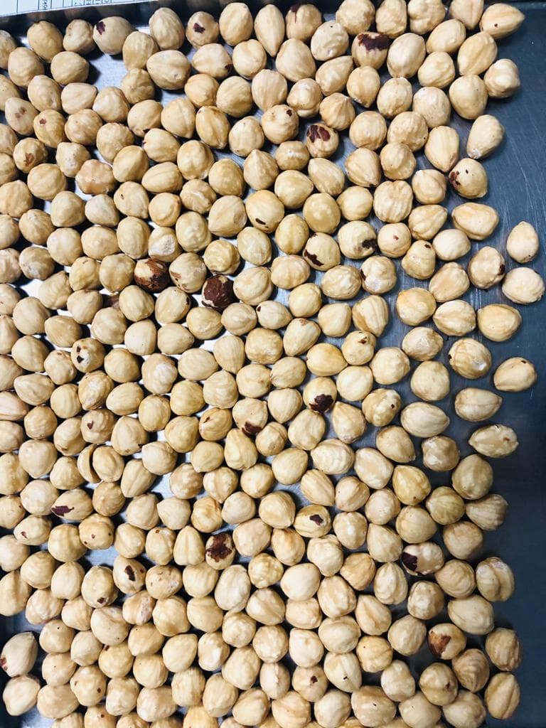 Organic Hazelnut Kernels Roasted
