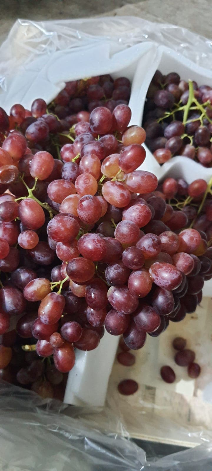 Crimson seedless Fresh grape