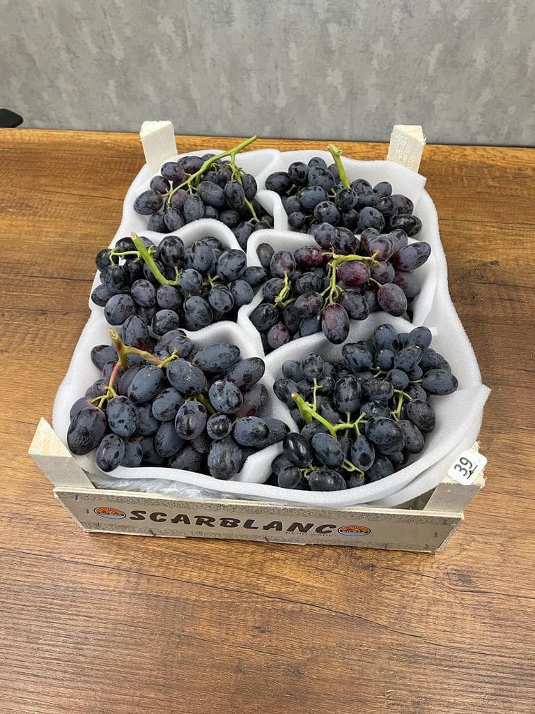Autumn Royal Fresh Grape