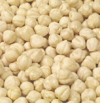 Hazelnut Kernels Blanched
