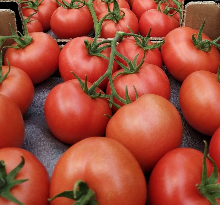Russia is preparing to increase its tomato quota on Turkiye