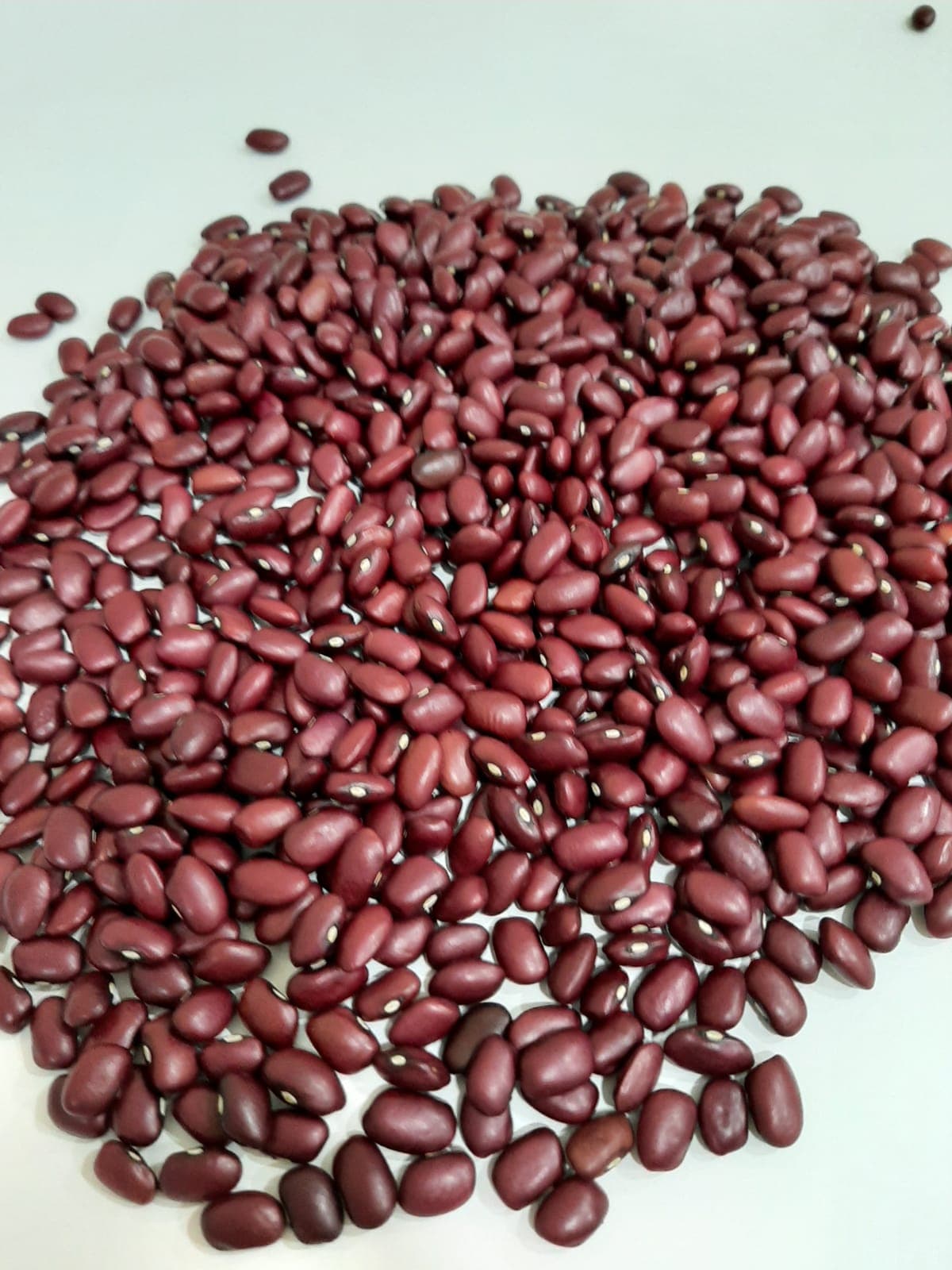 Organic Red Kidney Bean