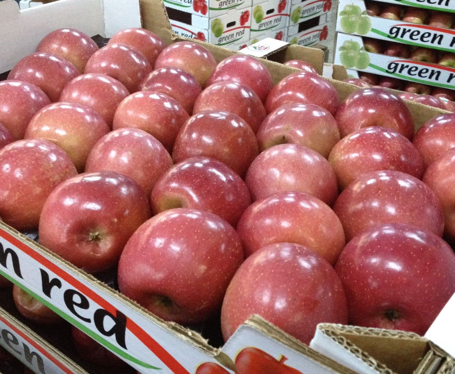 Fuji Fresh Apple