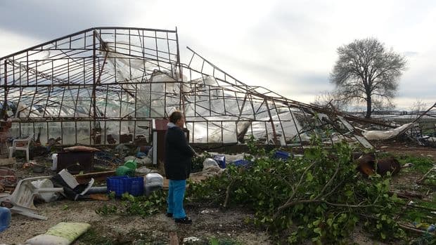 Tornado and storm hit greenhouses
