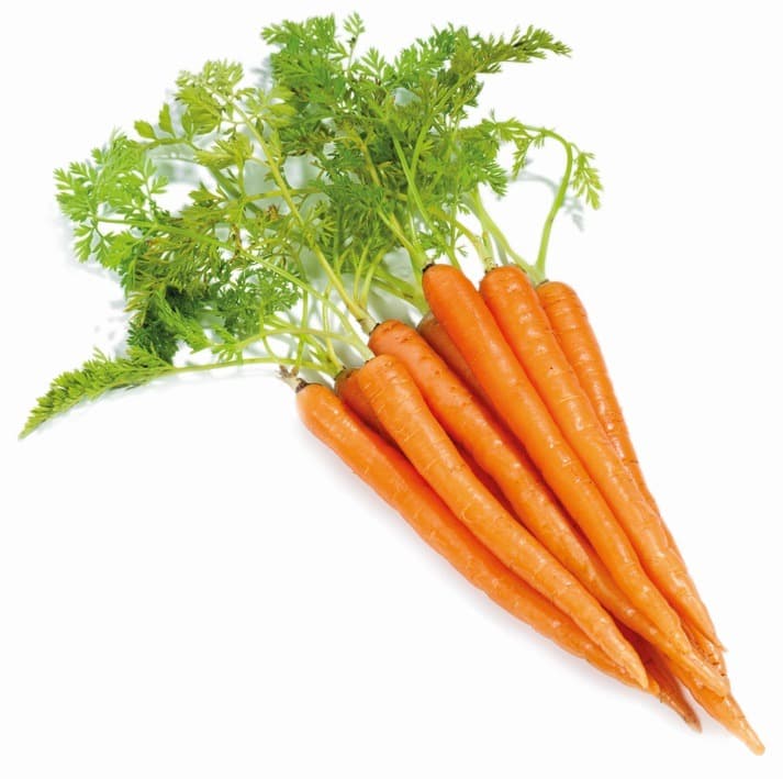 Baby Carrot