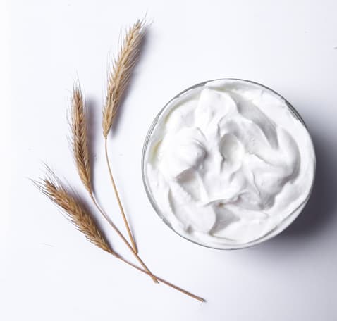 Yoghurt Powder