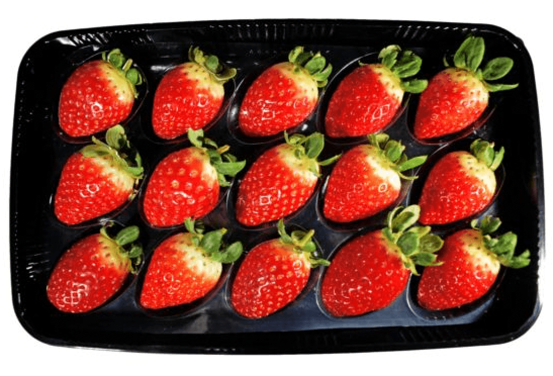 Fresh Strawberry 350gr viol