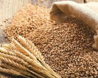 Food supply concerns rise