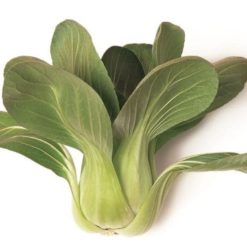 Pakchoi Pakchoy Pokchoi