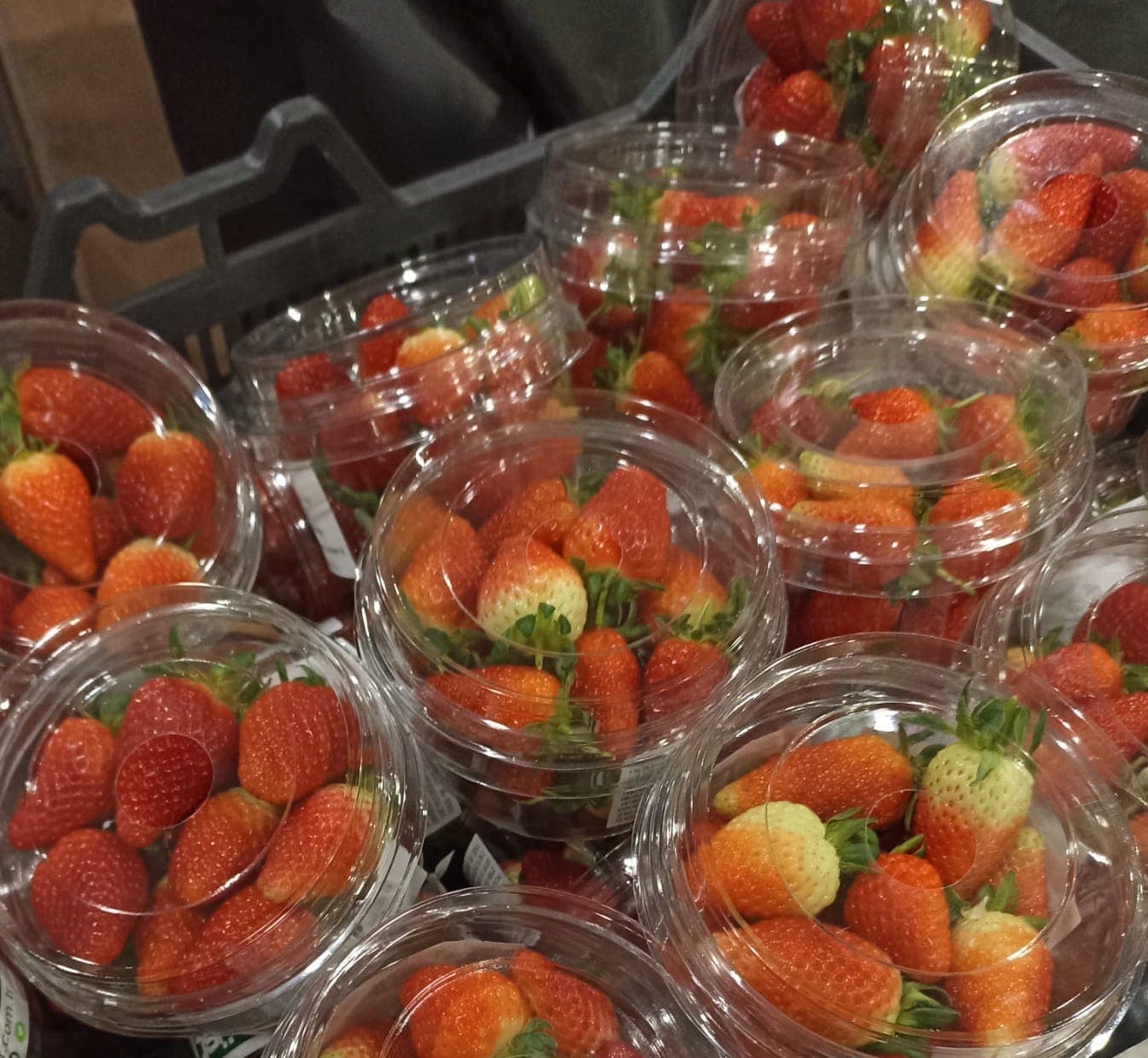 Fresh Strawberry 200gr