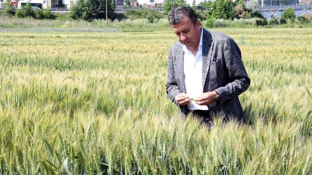 Turkey is experiencing meteorological and agricultural drought