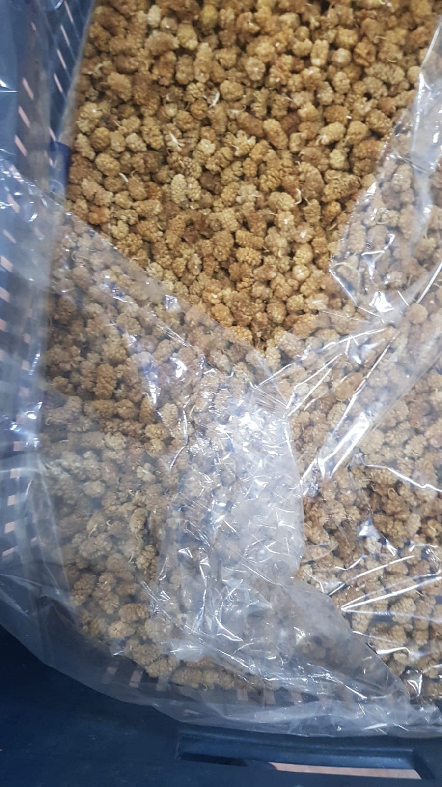 Organic Dried Mulberry white