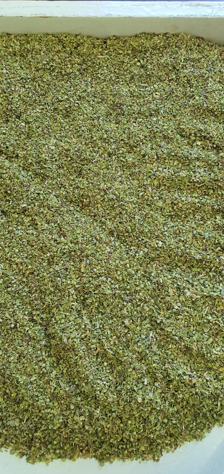 Organic Oregano