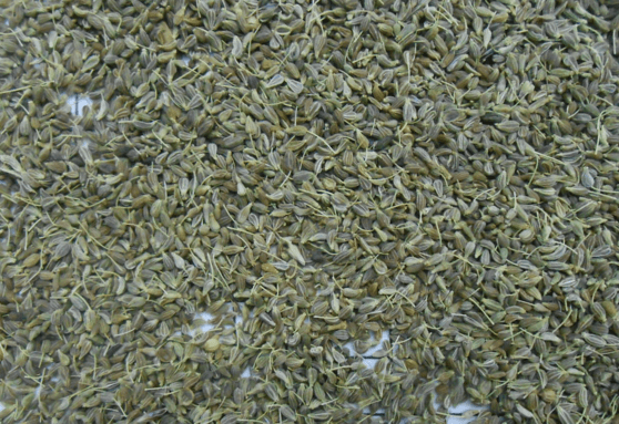 Organic Anise seeds