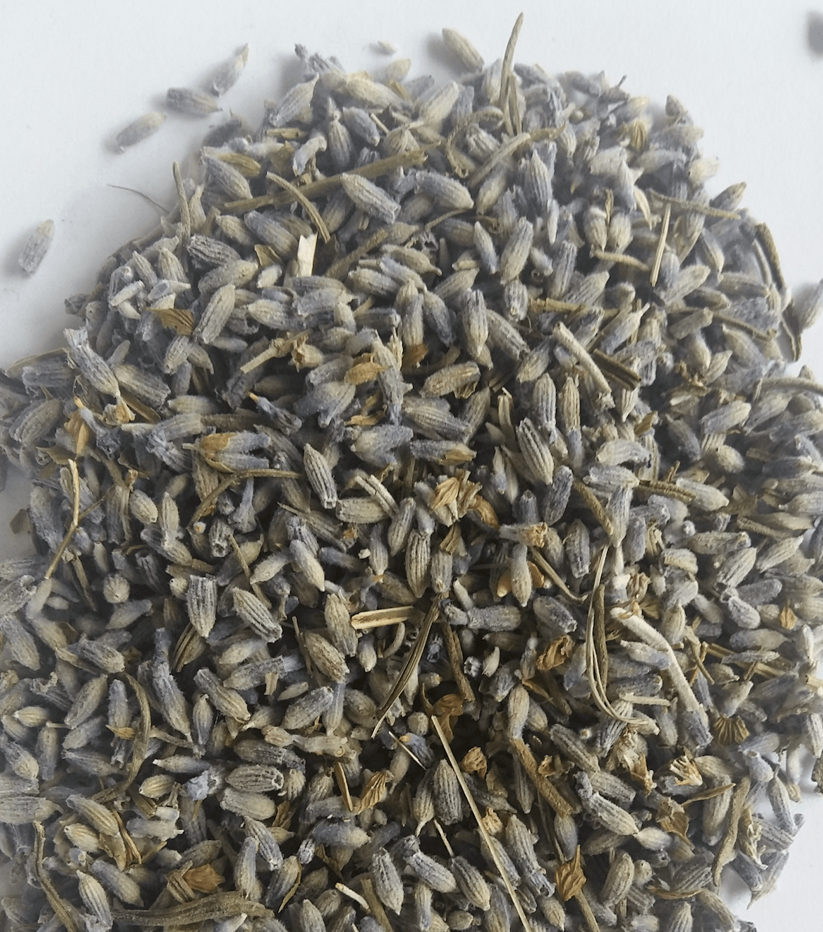Organic Lavender flower