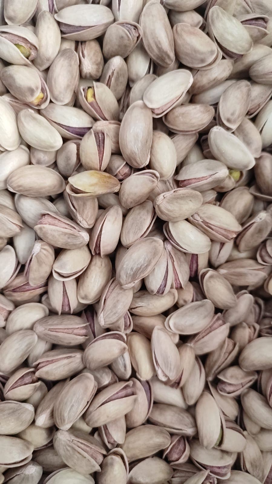 Pistachio inshell Antep type