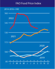 Food Price Index drops