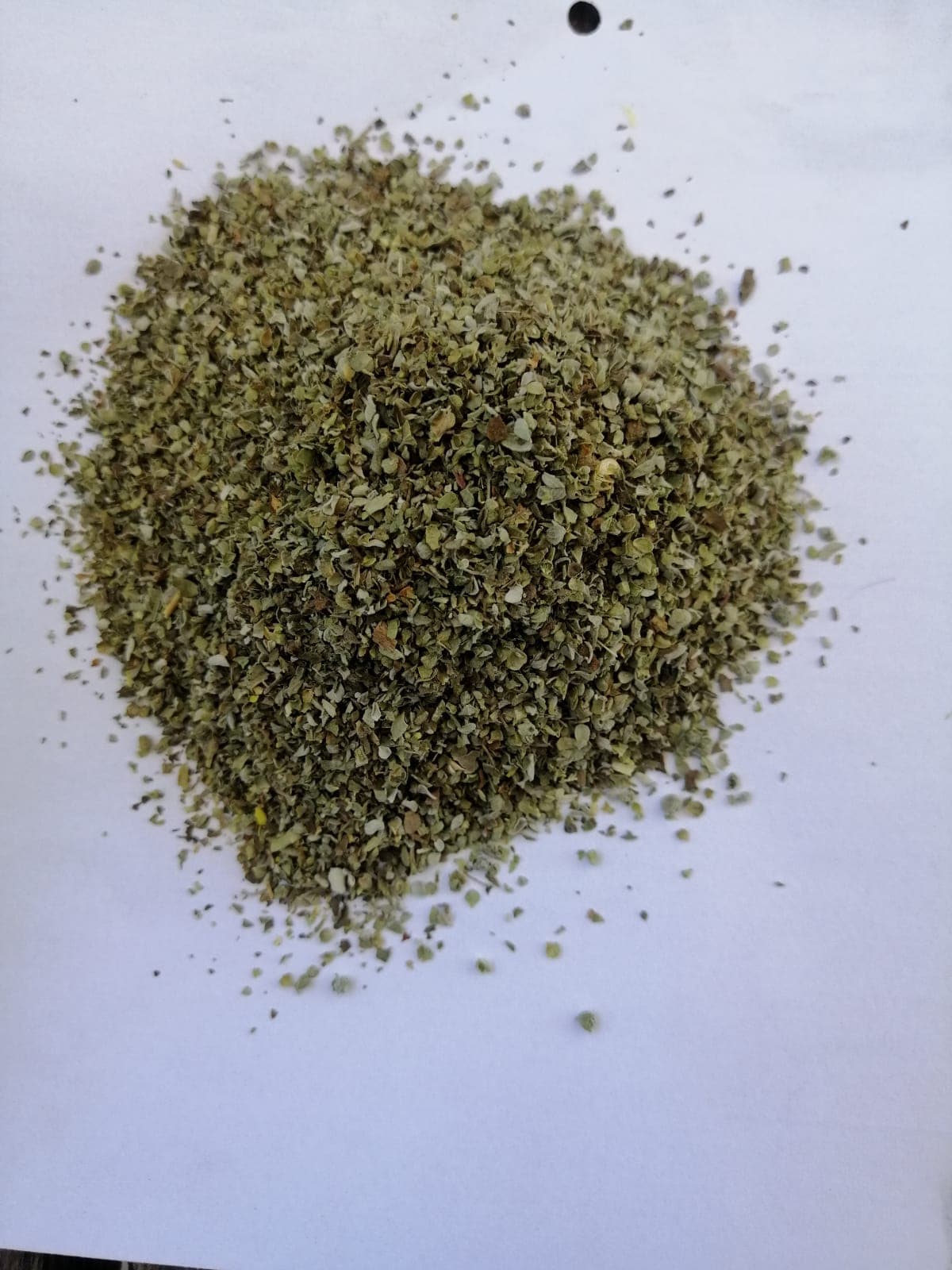 Marjoram