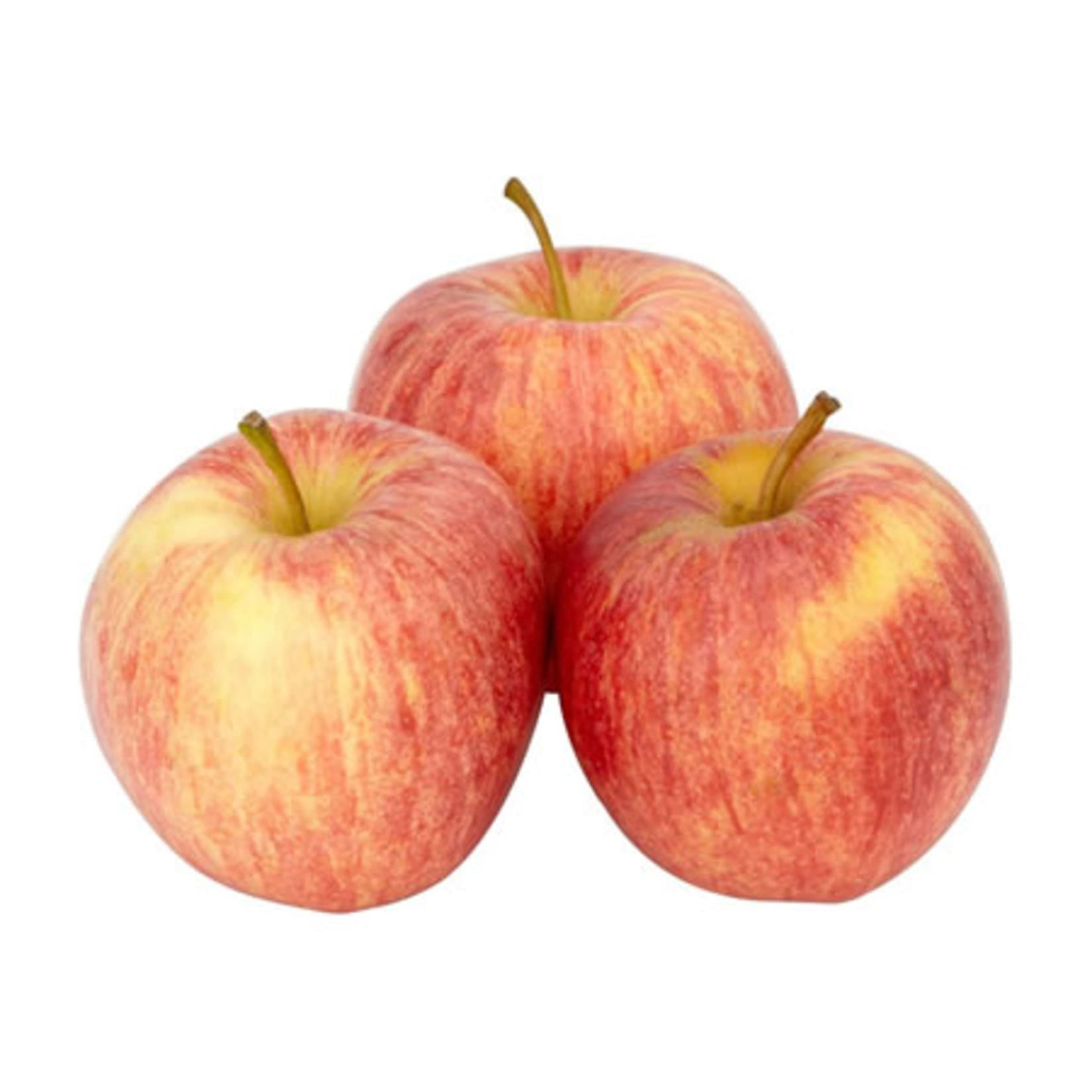 Red Gala Fresh Apple