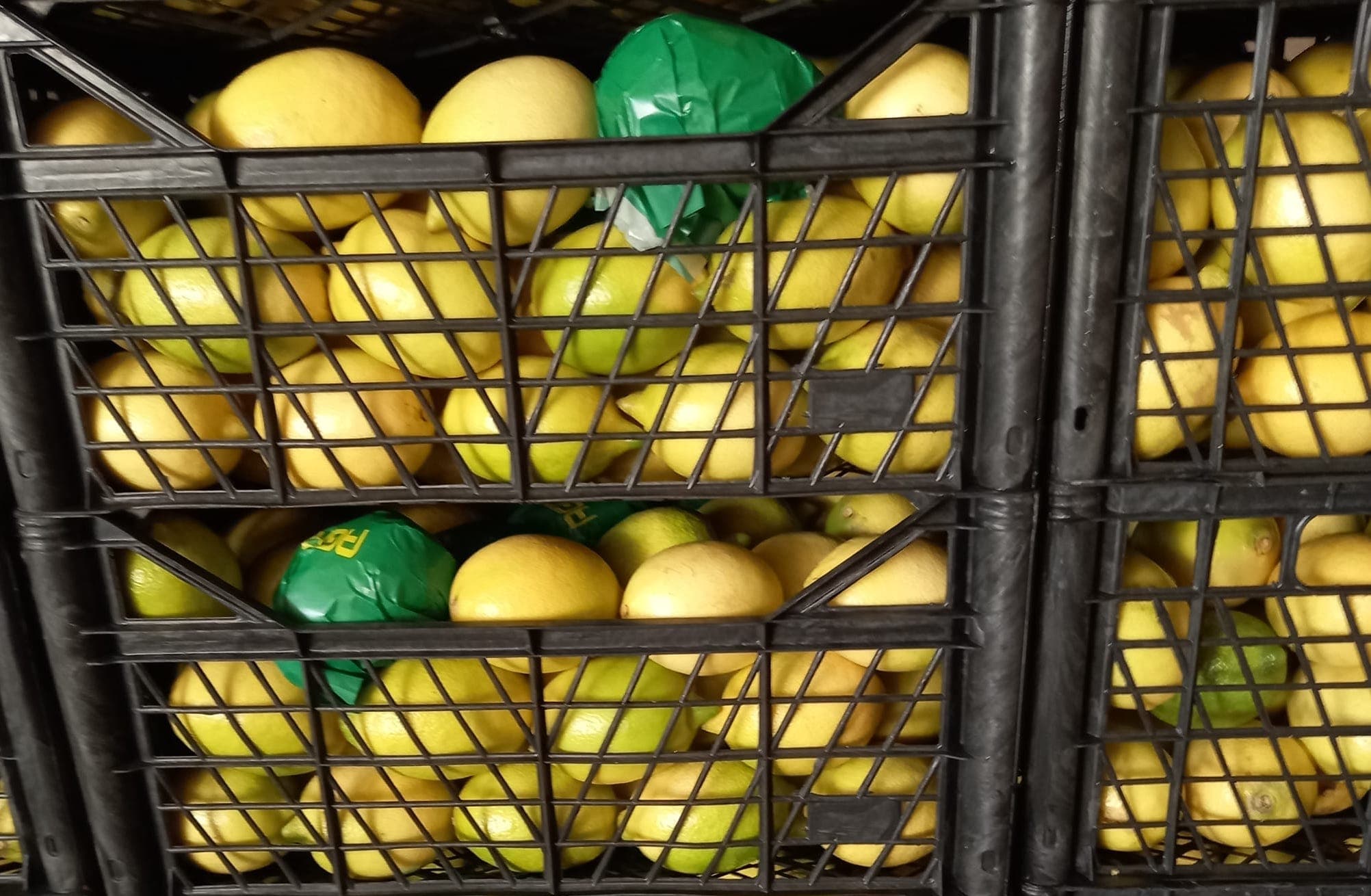 Lemon Enterdonat type