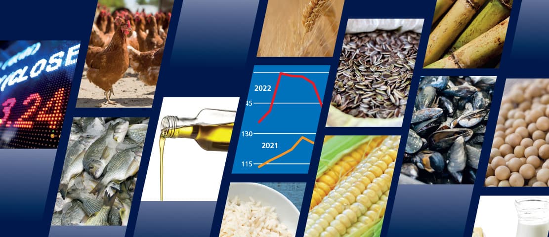 global food import bill set to rise