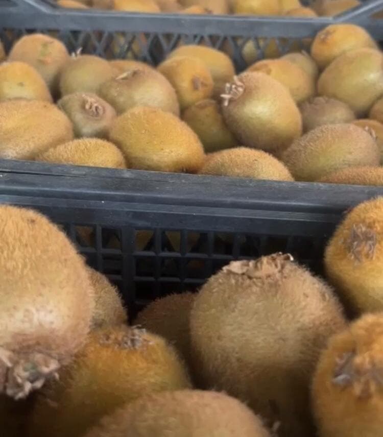 Frozen Kiwi