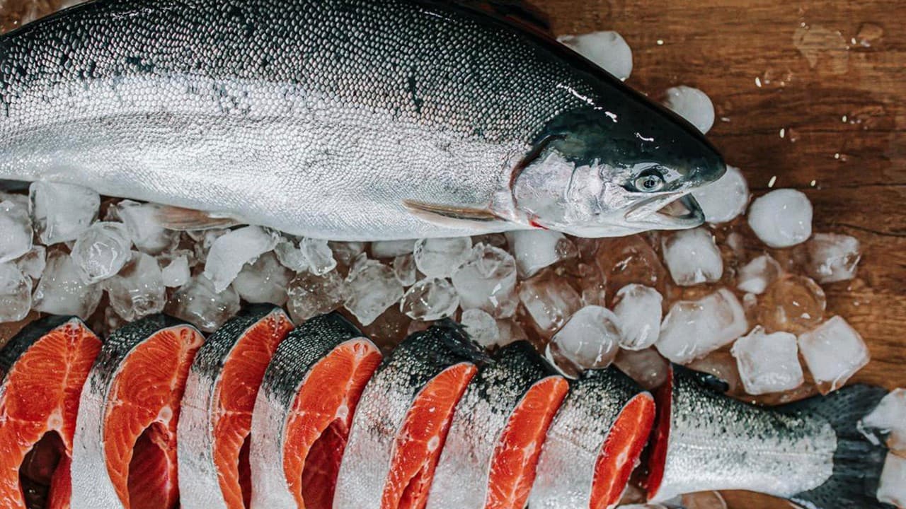 Turkish salmon fish export exceeds 115 million dollars