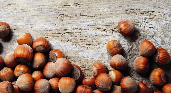 hazelnut market report december 2022