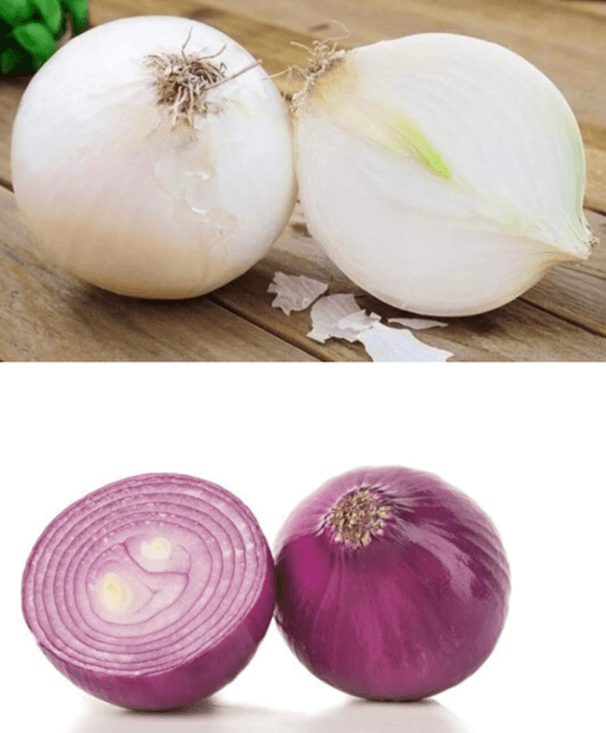 DRIED PURPLE ONION and DRIED SILVER ONION export permission