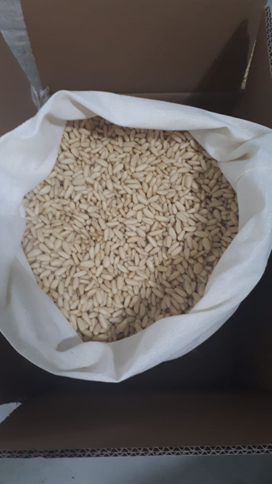 Pine Nut kernels Turkiye export statistics