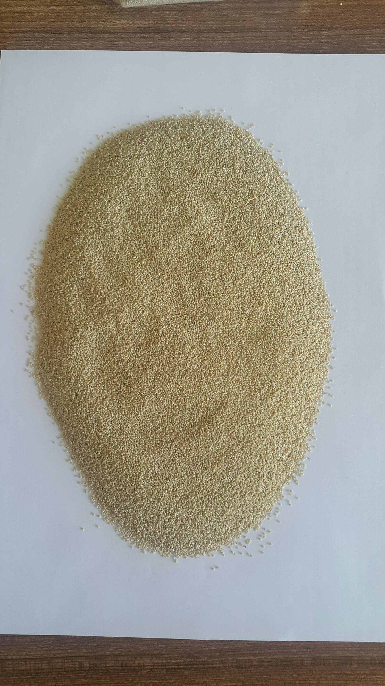 White Poppy Seed market 02 feb 2023