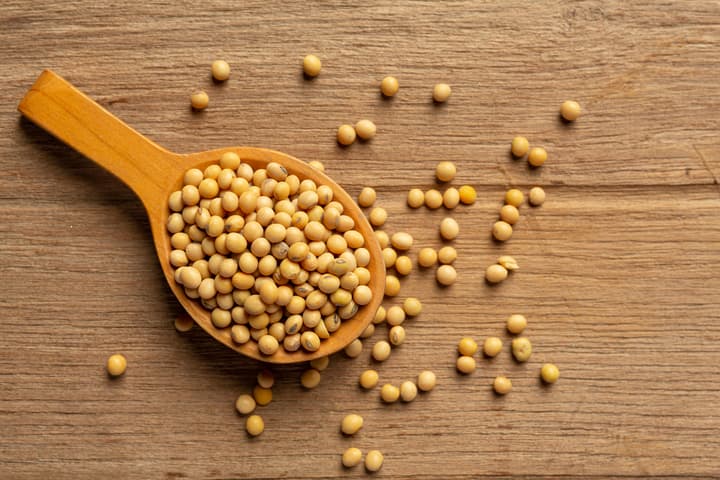 Soy Bean