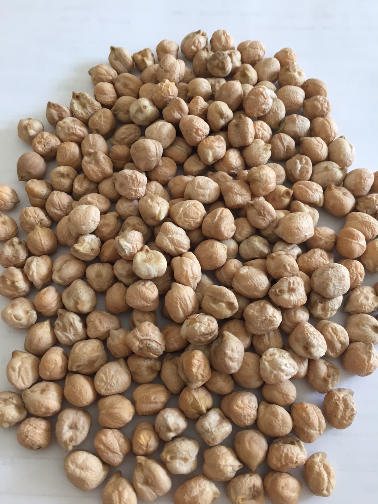 Chickpeas 9mm